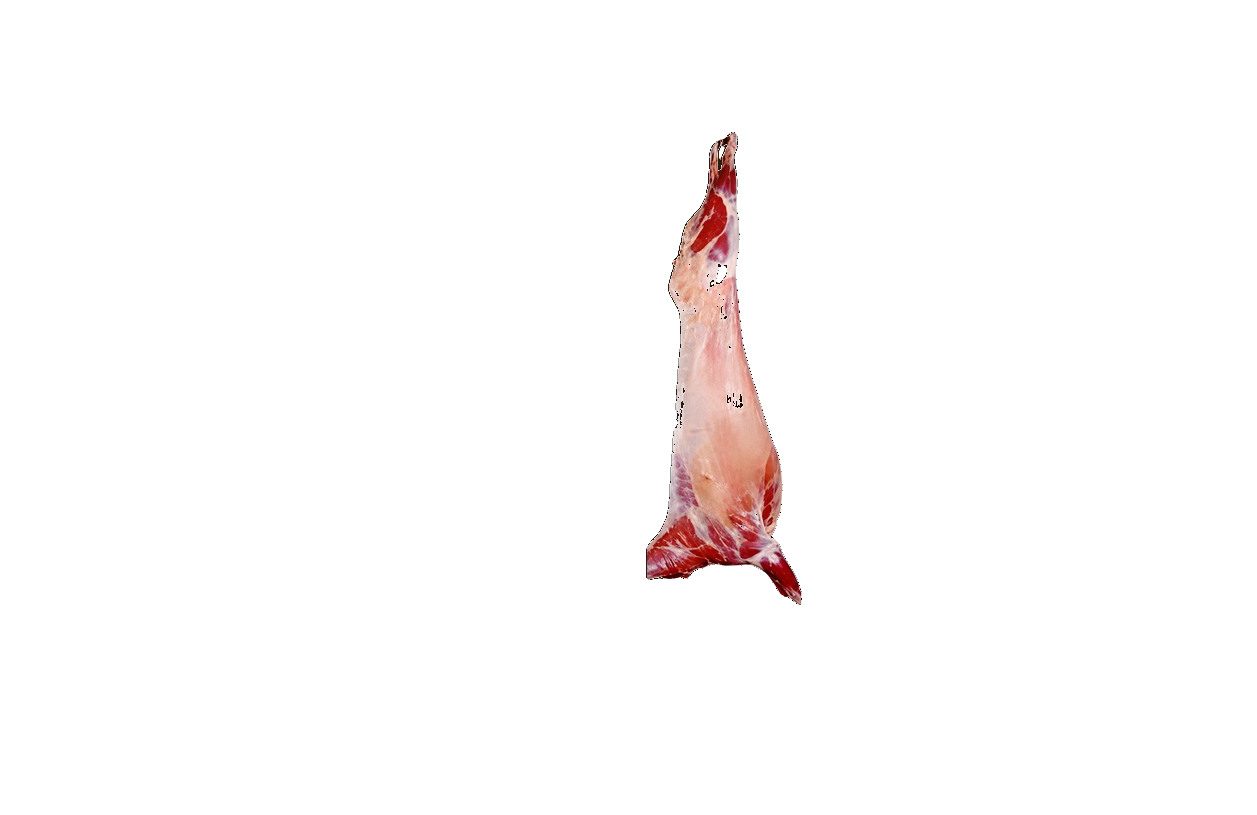 Goat Full Carcass wholesale product