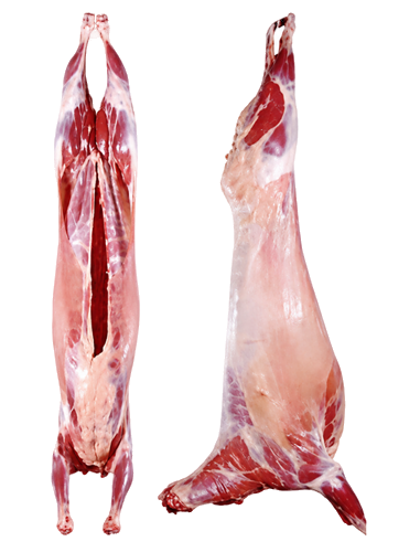 Lamb Flap wholesale product