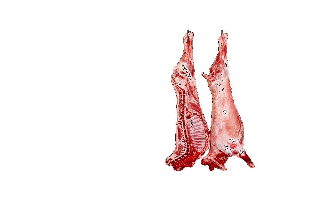 Goat wholesale collection